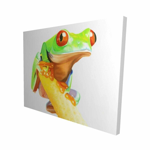 Fondo 16 x 20 in. Curious Red Eyed Frog-Print on Canvas FO2779730